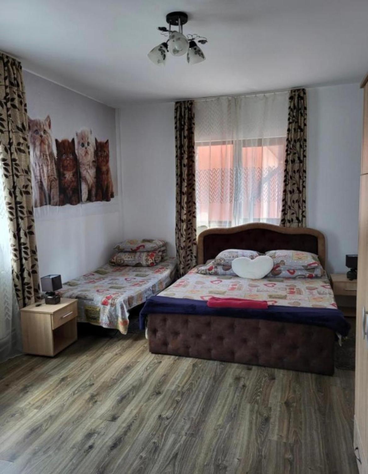 Apartamento Casa Raraului Câmpulung Moldovenesc Exterior foto