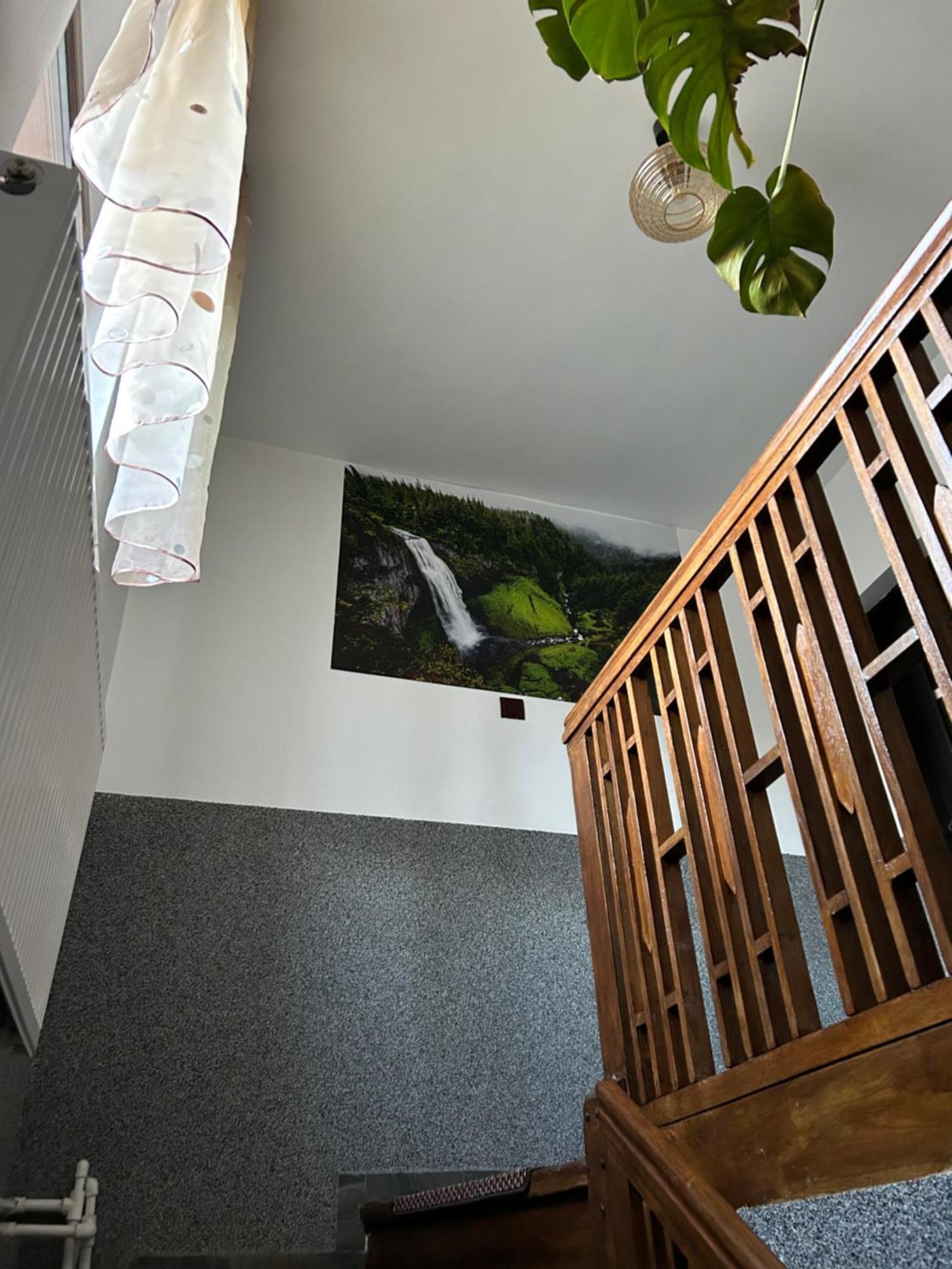 Apartamento Casa Raraului Câmpulung Moldovenesc Exterior foto
